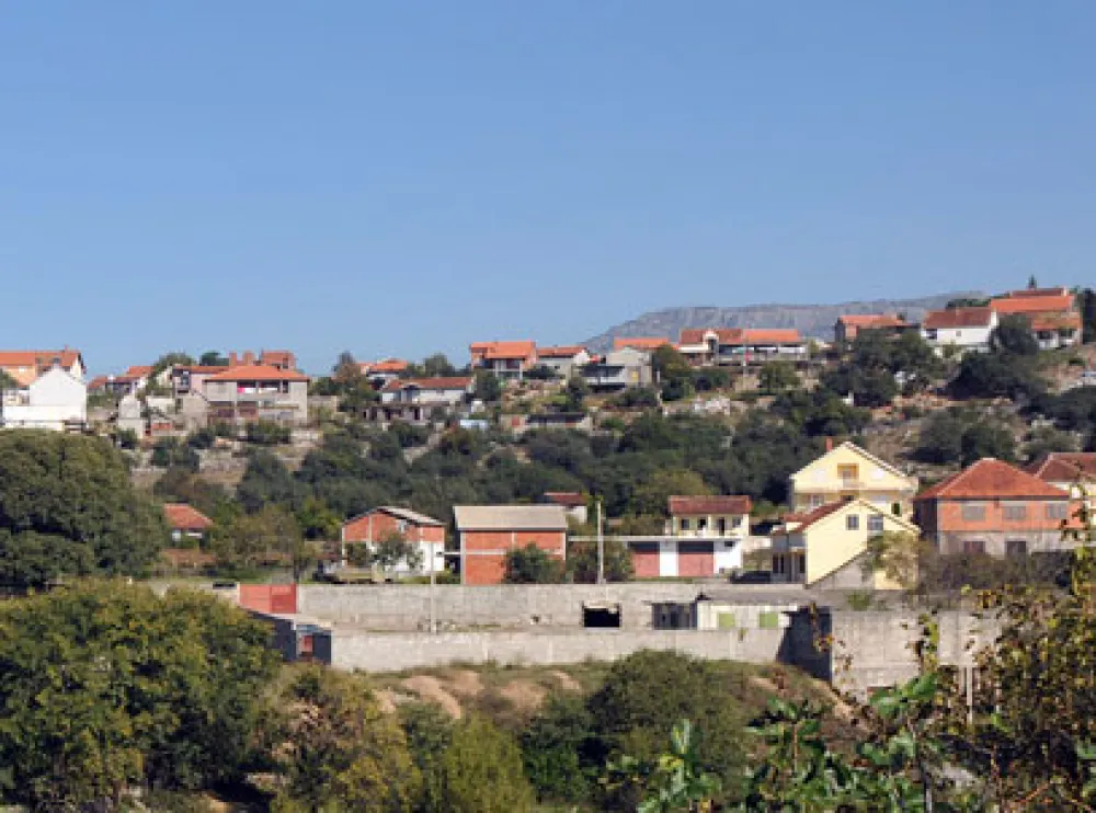 У МЗ Маслине нису чули за иницијативу