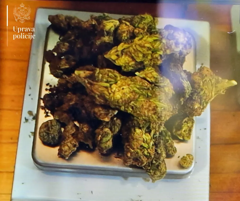 PRONAĐENI KOKAIN I MARIHUANA