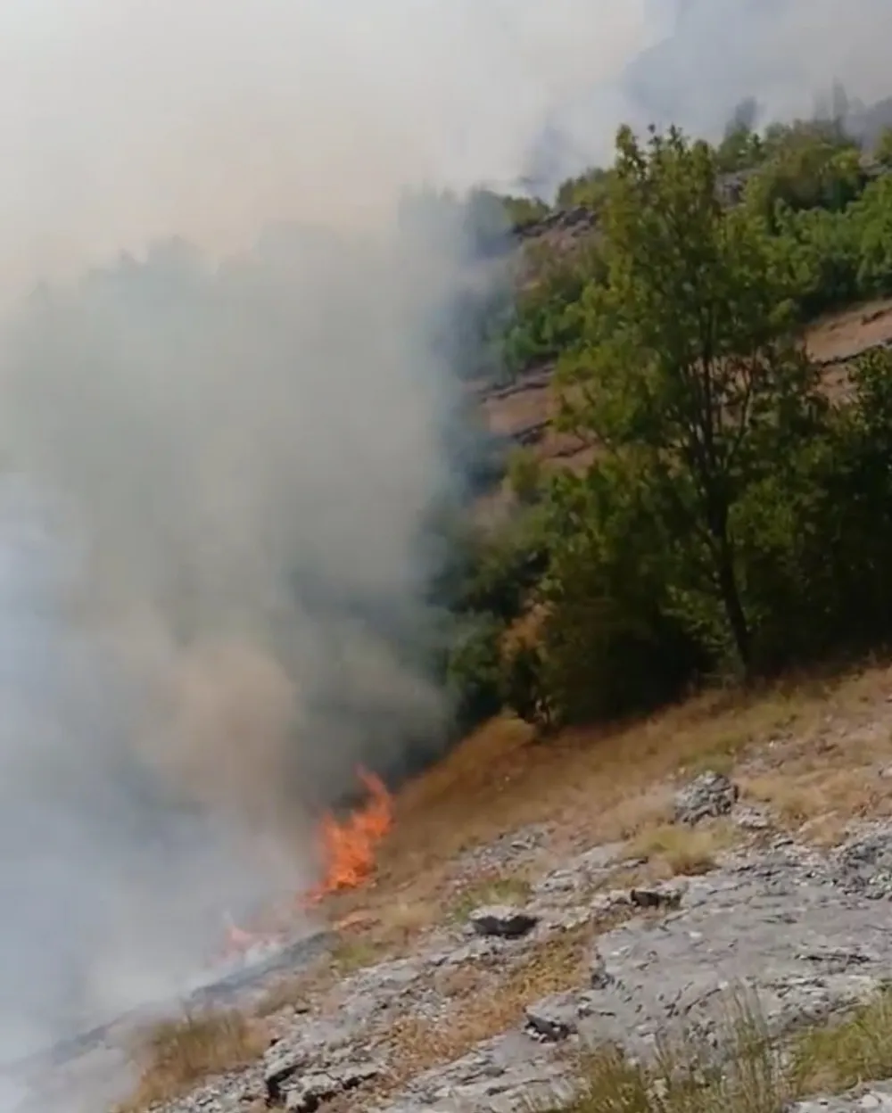(FOTO/VIDEO) Veliki broj &scaron;umskih požara zahvatio op&scaron;tinu Nik&scaron;ić: Gori na vi&scaron;e lokacija