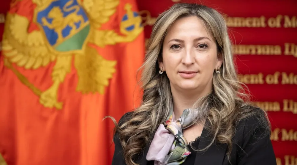 Vučević: Kome smeta razvoj sjevera?