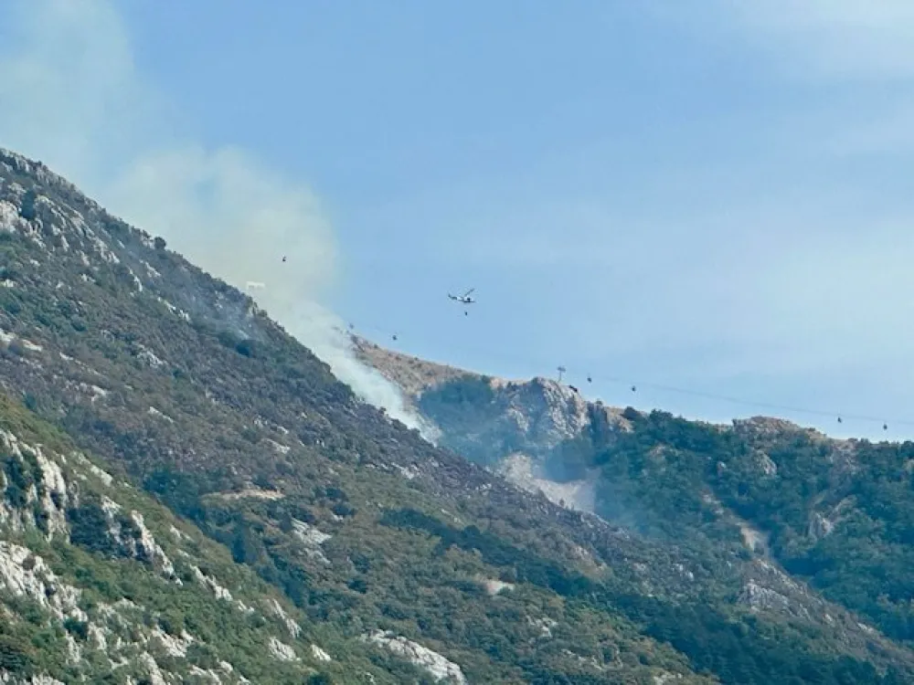 Požar na putu Trojica-Krstac, kotorski vatrogasci na terenu