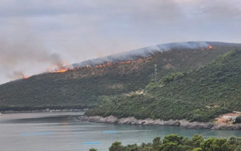 Veliki požar na Lu&scaron;tici nakon udara groma, vatra zahvatila pojas od nekoliko kilometara