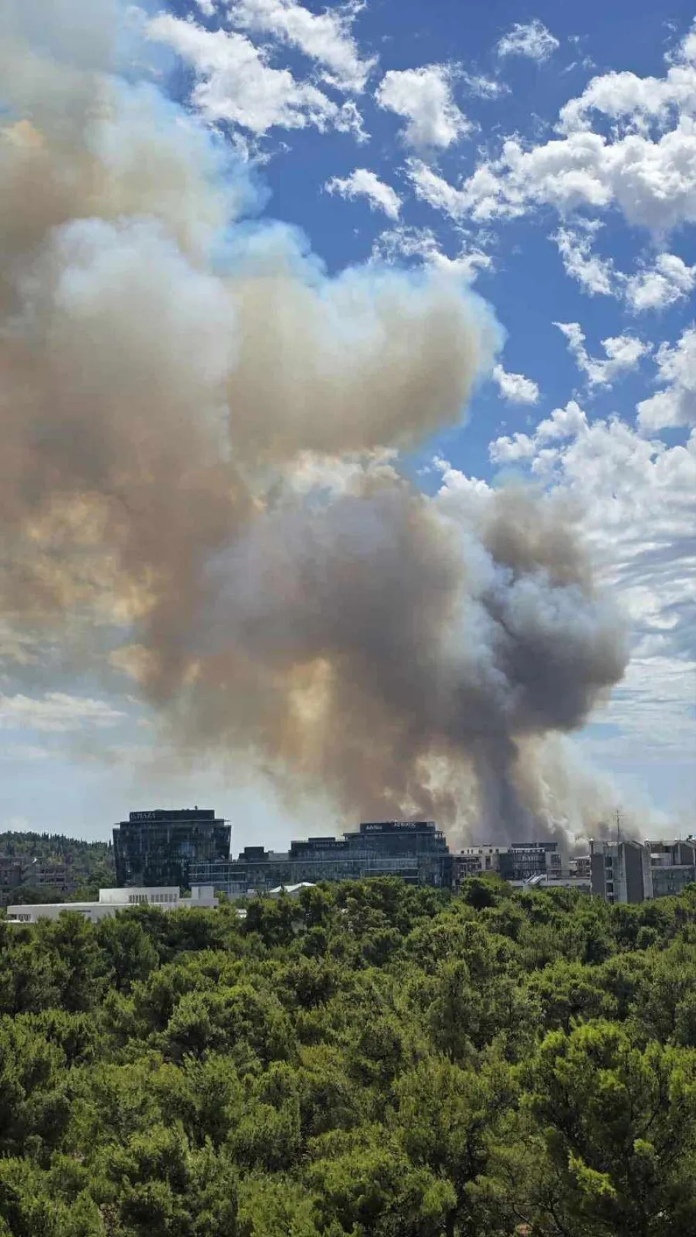 Veliki požar na Ćemovskom polju, vatrogasci na terenu