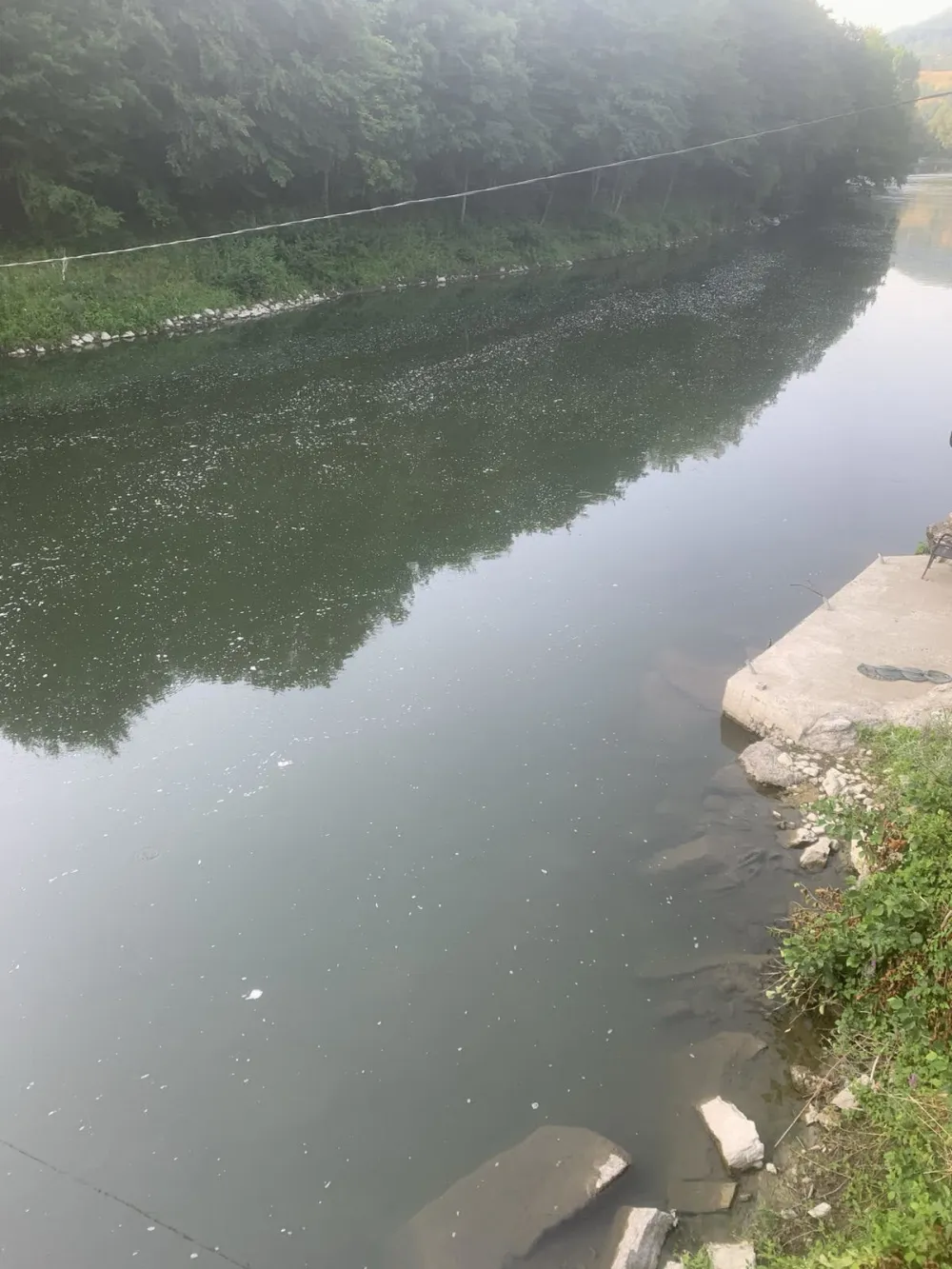 Bijela pjena opet truje riblji fond u Limu