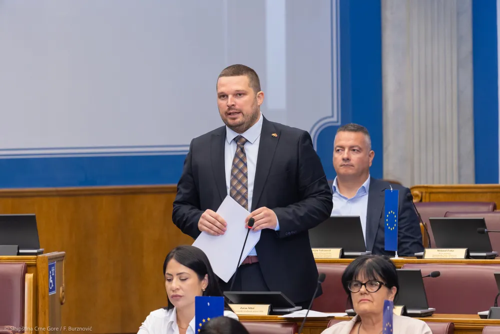 Mikić: Papir koji je pokazao &Scaron;aranović je podmetačina struktura povezanih sa biv&scaron;im režimom