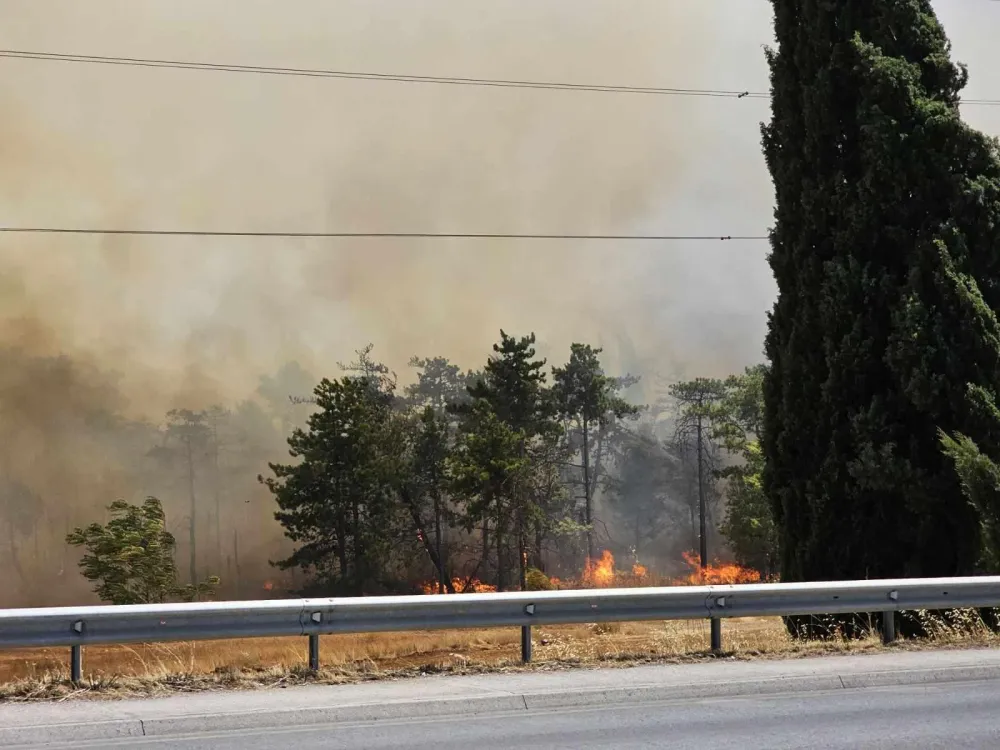 Iković: Uzalud je ispod Ćemovskog jezero, sve je izgorelo