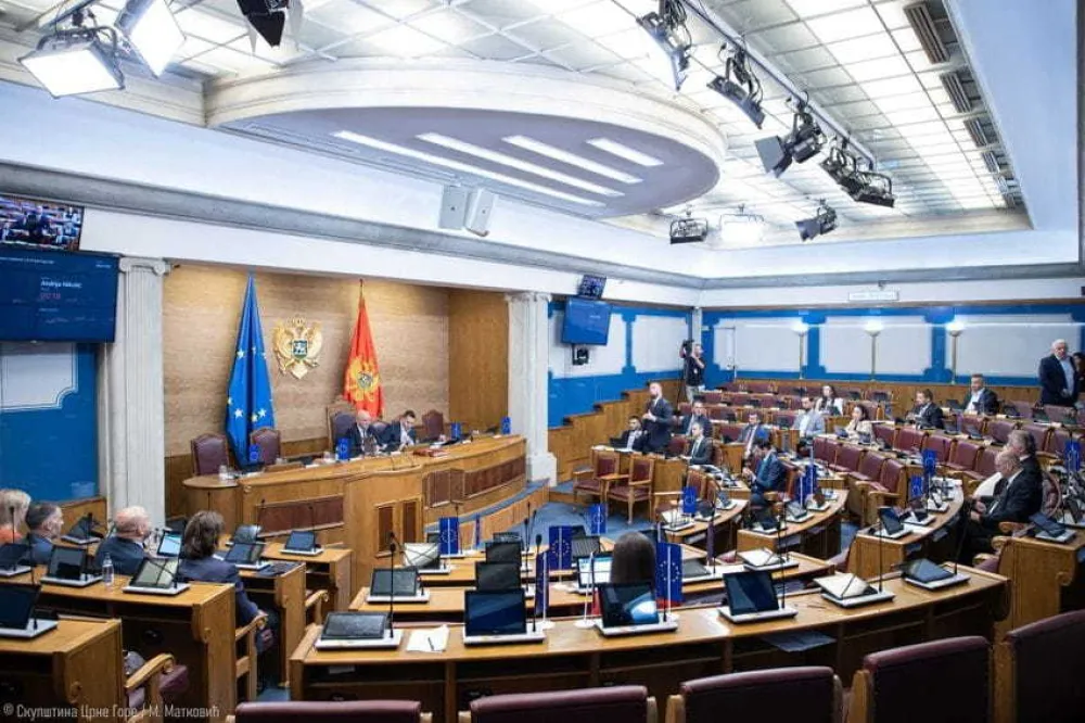 (VIDEO)&nbsp;Zirojević: Pozivam većinu i Vladu da povuku Prijedlog zakona o ANB-u&nbsp;