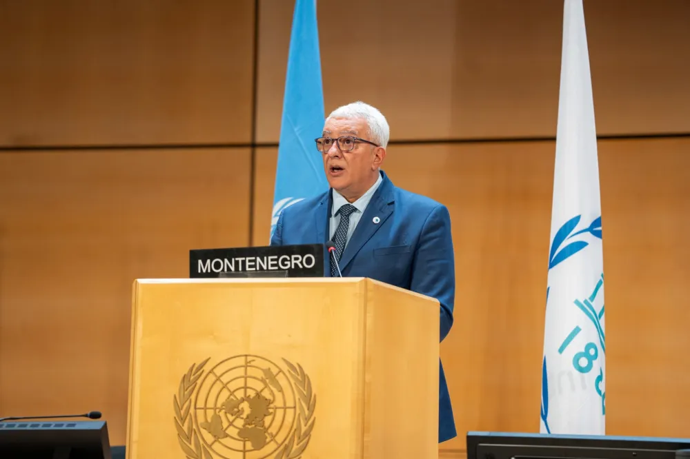 Mandić u UN: Cilj parlamentarne&nbsp;većine je da Crnu Goru učini zemljom slobodnih, srećnih i bogatih ljudi