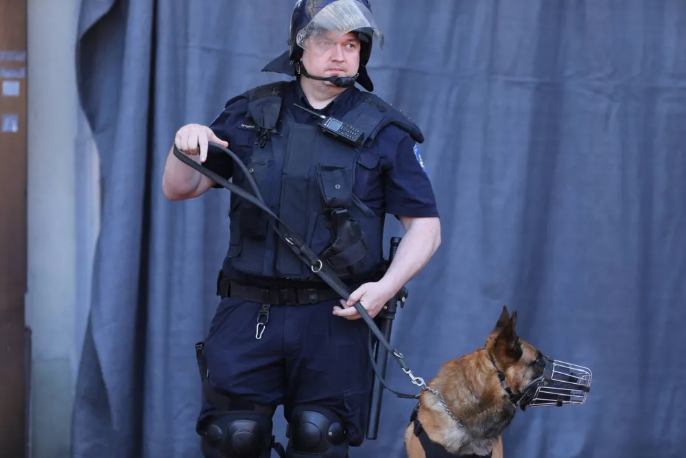 Folker iz Slavonije uhap&scaron;en na Hvaru: U kući kokain, za pojasom revolver