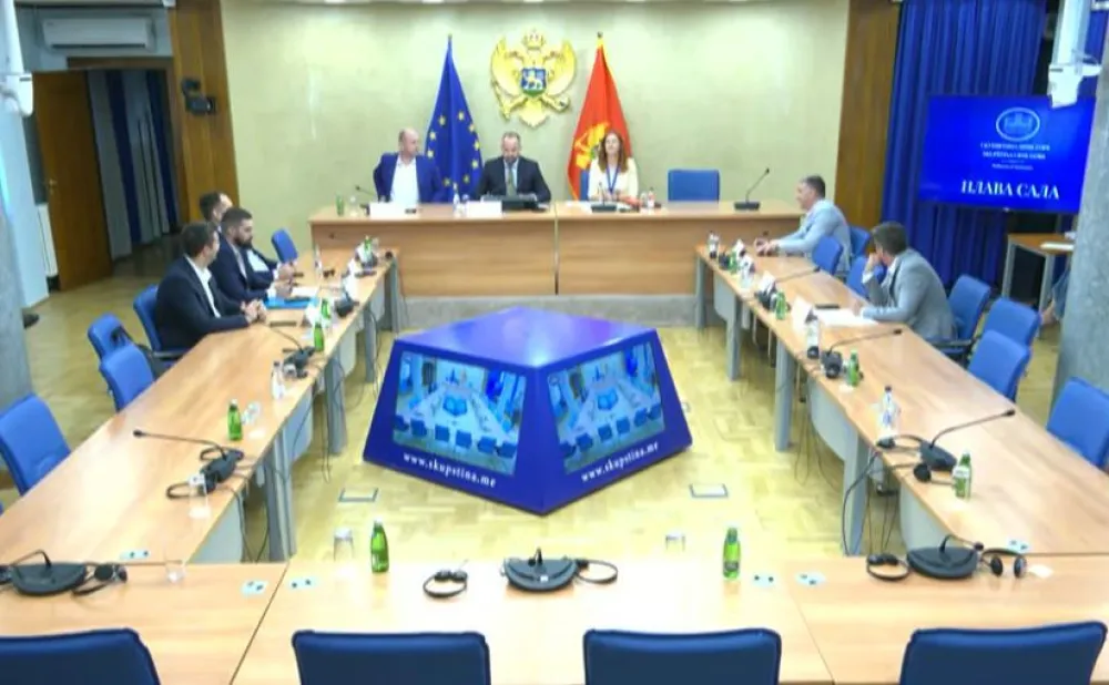 Dana&scaron;nja sjednica