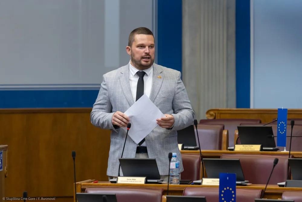Mikić: Svađe unutar parlamentarne većine juče pomogle evropski put Crne Gore