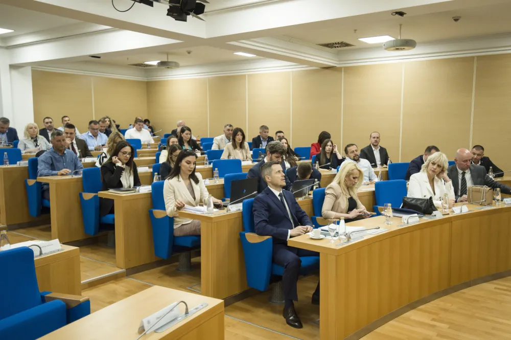 sjednica skupstine glavnog grada