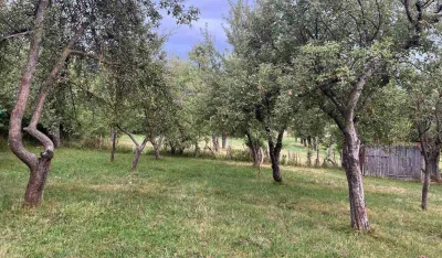 Mje&scaron;tani plavskog naselja neće saobraćajnicu na kućnom pragu