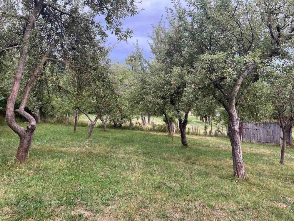 Mje&scaron;tani plavskog naselja neće saobraćajnicu na kućnom pragu