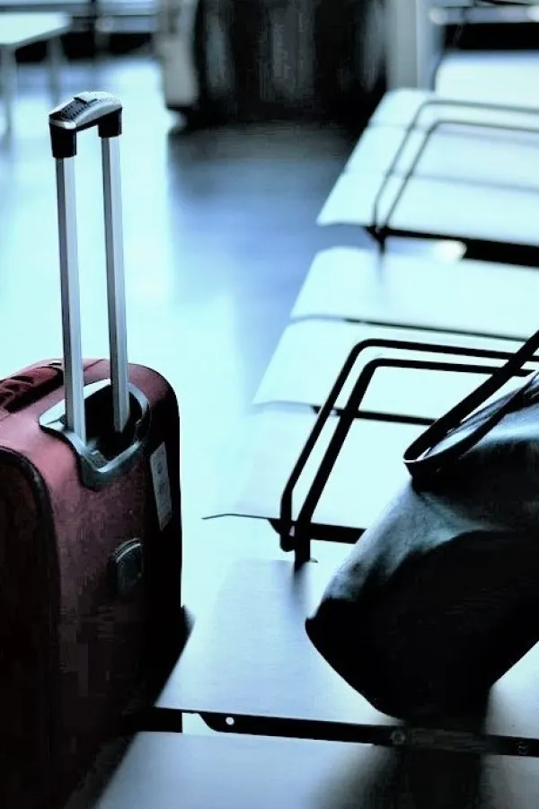 Uhap&scaron;ena žena sa Novog Zelanda, putovala s djetetom spakovanim u kofer