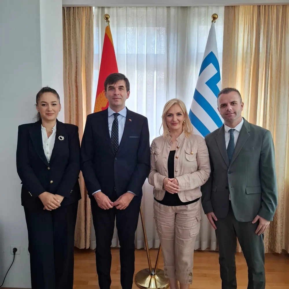 Azemović sa Borovinić Bojović: Digitalizacijom i institucionalnom saradnjom do jače veze sa dijasporom