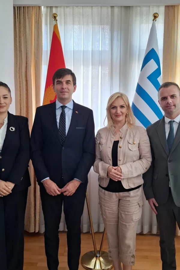 Azemović sa Borovinić Bojović: Digitalizacijom i institucionalnom saradnjom do jače veze sa dijasporom