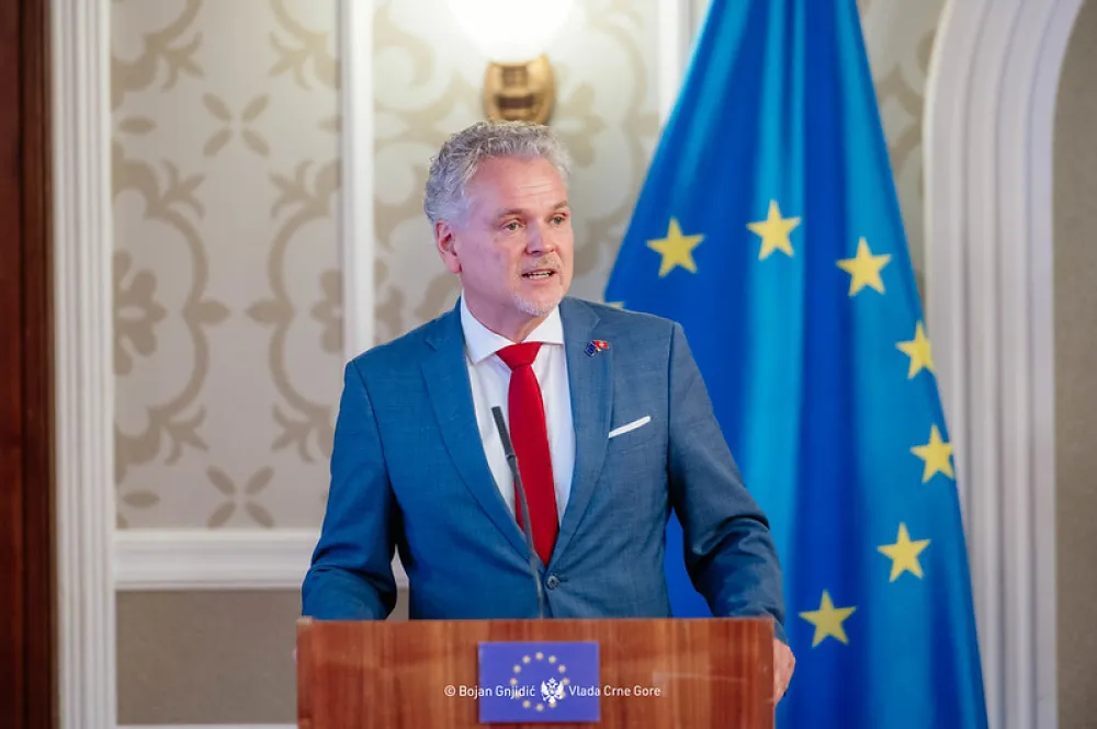 Satler: Skup&scaron;tina &scaron;to prije da izabere sudije Ustavnog suda