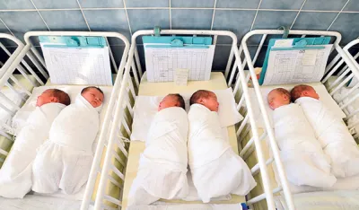 "Bijela kuga" u čak 18 crnogorskih op&scaron;tina