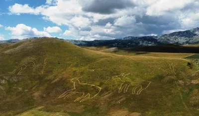 Wild Beauty - piktogram