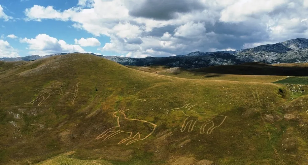 Wild Beauty - piktogram