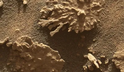 NASA otkrila koralnu formaciju na Marsu staru vi&scaron;e milijardi godina