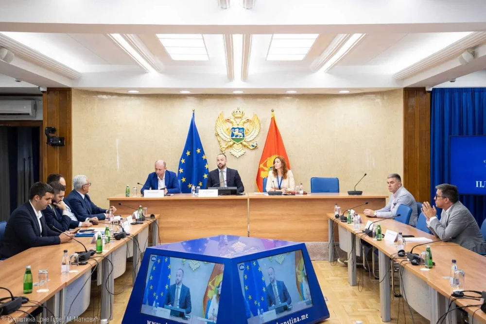 Razmatranjem spornih slučajeva do političkih poena