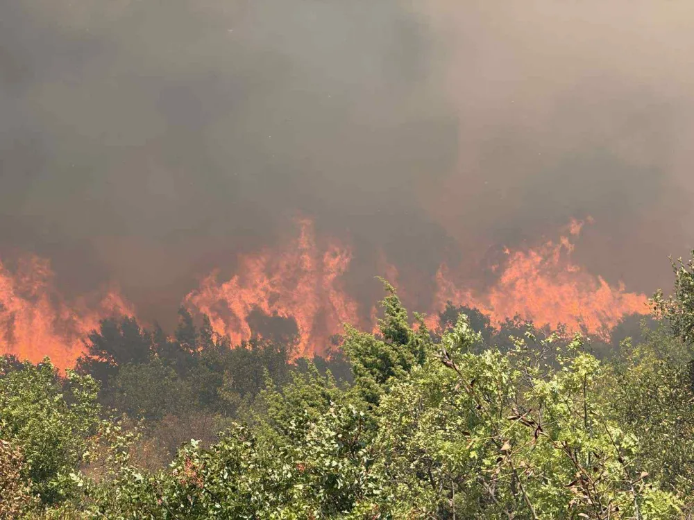 Nik&scaron;ićki vatrogasci od vatre spasili brojne kuće, bore se sa vi&scaron;e &scaron;umskih požara