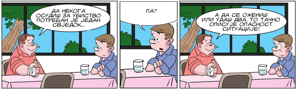 Mirko Zulić strip Dana