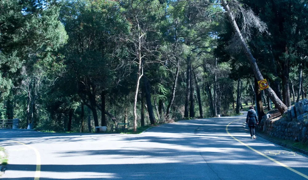 Park &scaron;uma Gorica i brdo Ljubović zatvoreni za posjetioce