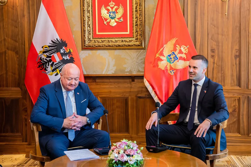 Spajić: Austrija će poslati preko 100 vatrogasaca, pomoć stiže i iz UAE