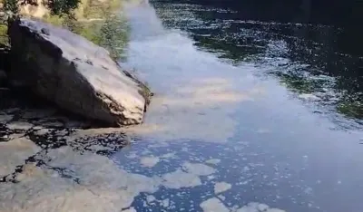 (VIDEO) Umjesto ribe, Limom plivaju hemikalije
