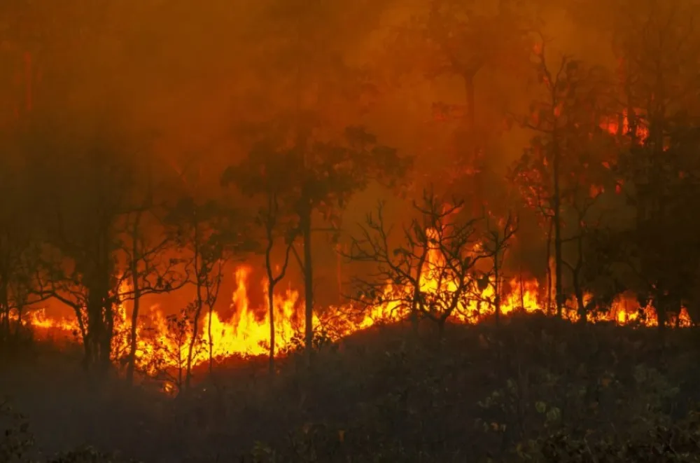 Požari &scaron;irom Evrope: Evakuisano grčko ostrvo, hiljade ljudi u &Scaron;paniji i Portugalu