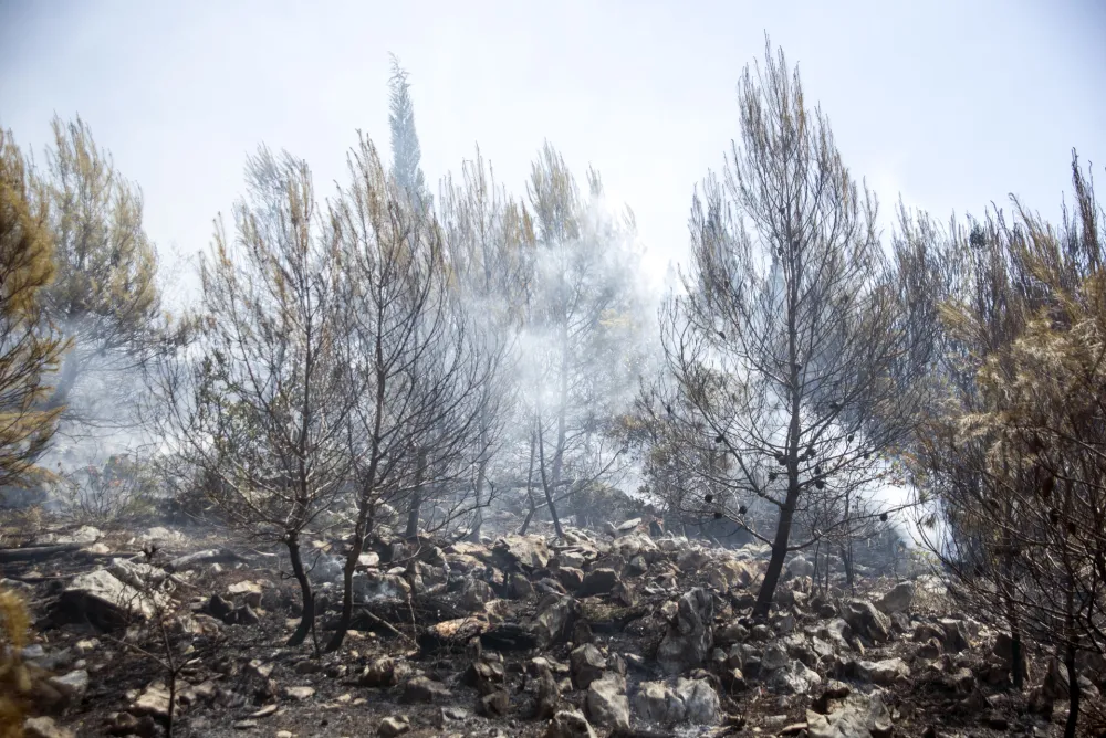 Spriječen poku&scaron;aj podmetanja požara na Gorici, traga se za počiniocima