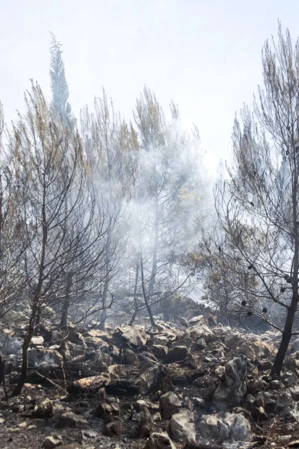 Spriječen poku&scaron;aj podmetanja požara na Gorici, traga se za počiniocima