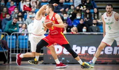 Владимир Михаиловић