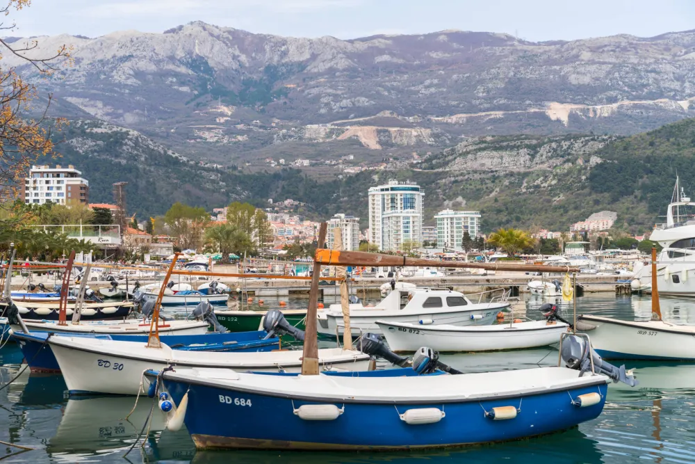 Budvanske nekternine Vektre na prodaji