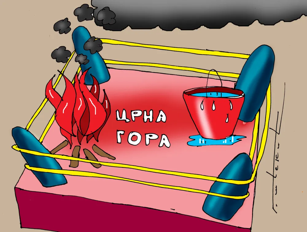 Goran &Scaron;ćekić karikatura Dana