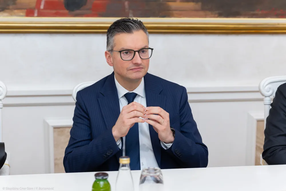 &Scaron;arec: Nužan je ulazak Crne Gore u EU, samo tako može se izgraditi jo&scaron; otporniji i efikasniji sistem za&scaron;tite i spa&scaron;avanja