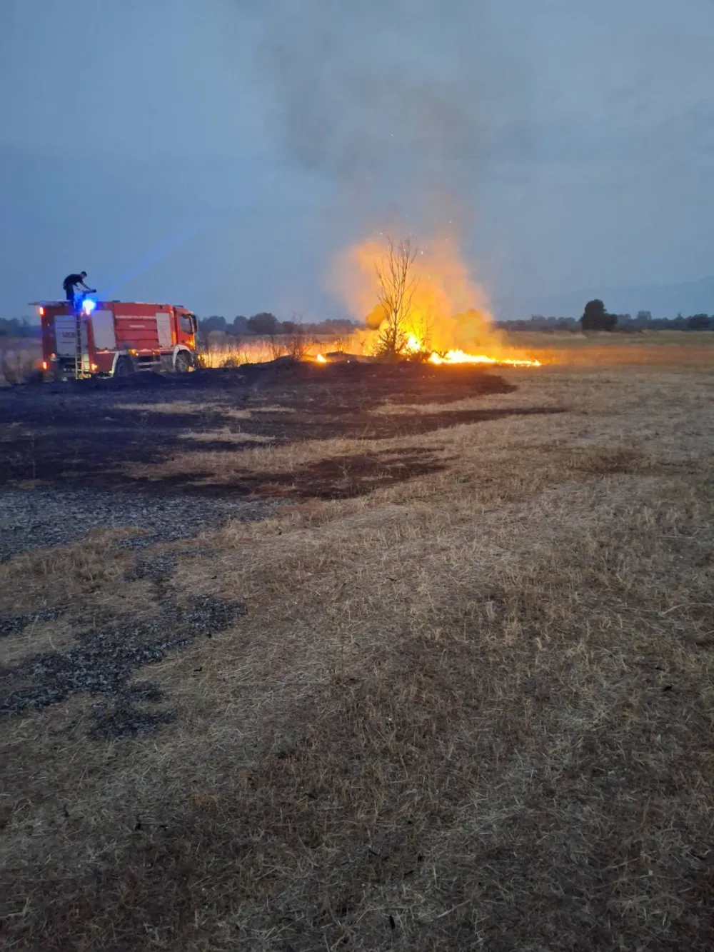 UP: Identifikovane jo&scaron; dvije osobe osumnjičene za izazivanje požara u Zeti i na Zabjelu, od početka mjeseca procesuirano osmoro
