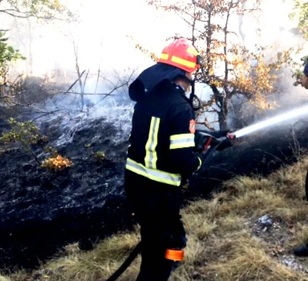 Nik&scaron;ić: Aktivna tri požara, vatrogasci uspje&scaron;no brane kuće i objekte