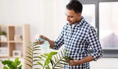 Na ove načine soda bikarbona može biti efikasna u očuvanju va&scaron;ih biljaka