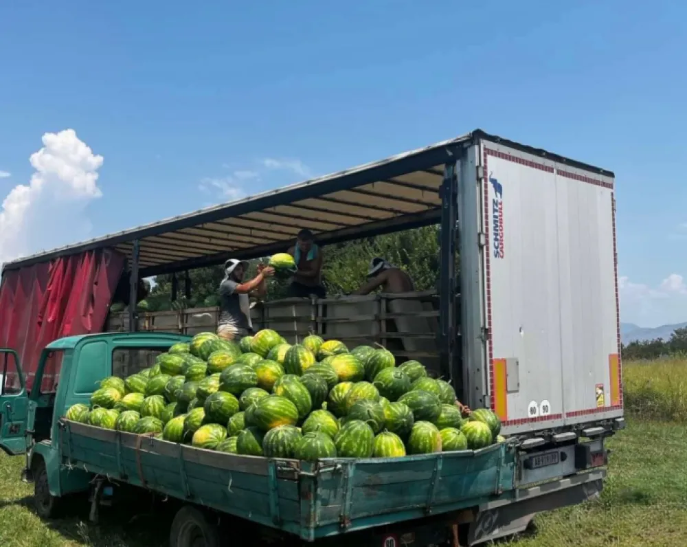 Op&scaron;tina Zeta podržava otkup poljoprivrednih proizvoda: Daju sedam centi po kilogramu