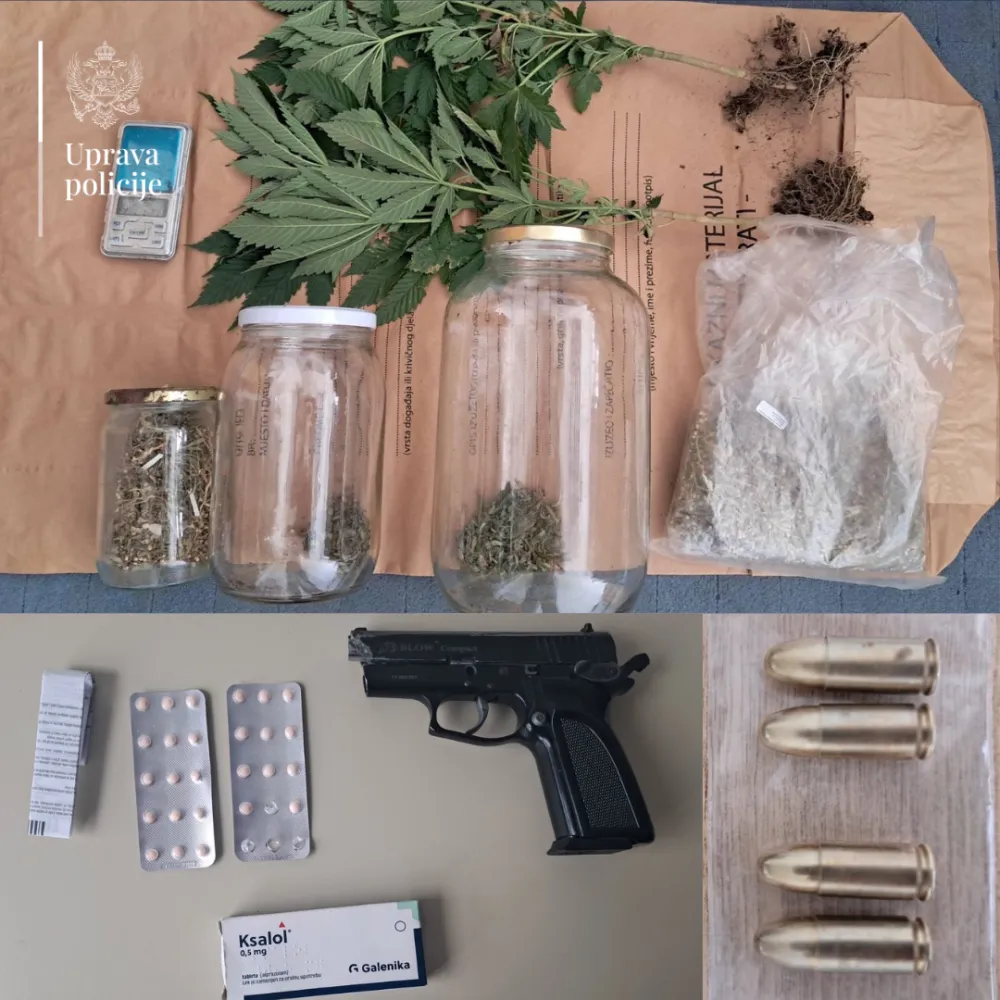 Pornađeni narkotici i oružje u Plavu