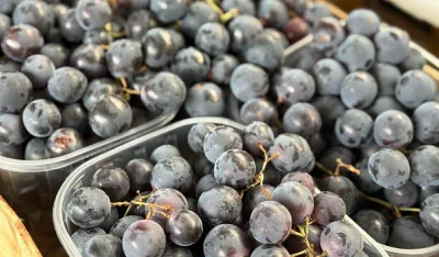 Kilogram grožđa 2,50 eura