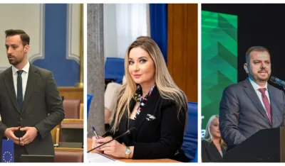 U nastavku izborne reforme razmotriti i pitanje dijaspore