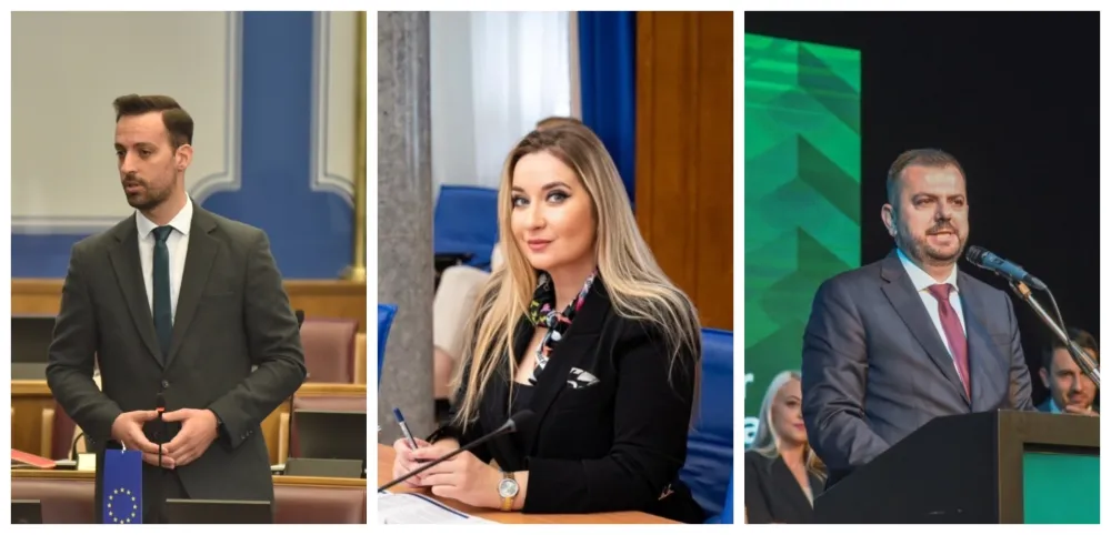 U nastavku izborne reforme razmotriti i pitanje dijaspore