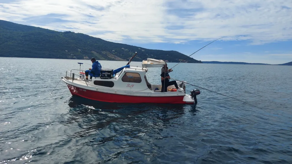 Predstavnici 119 potpisnika peticije ribara, okupljenih iz vi&scaron;e udruženja, reagovali su na tekst objavljen 18. avgusta u medijima, u kojem je Ministarstvo poljoprivrede, &scaron;umarstva i vodoprivrede (MP&Scaron;V) poručilo da &bdquo;blokada zaliva nije rje&scaron;enje&ldquo;.