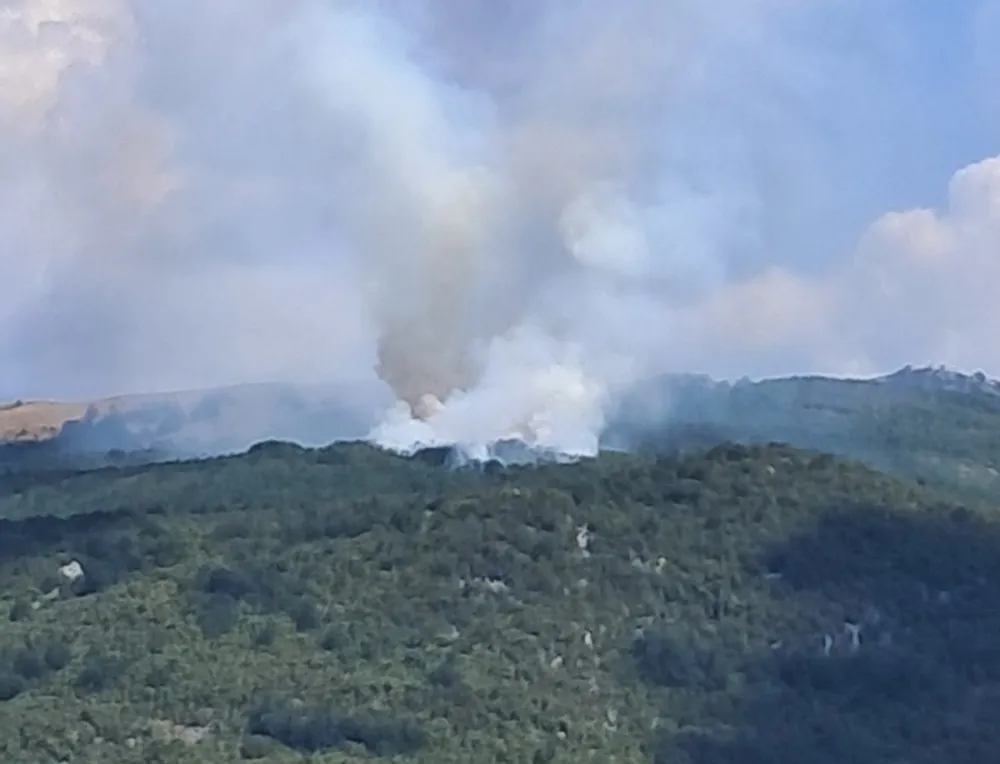U Nik&scaron;iću aktivan požar na Lukovu