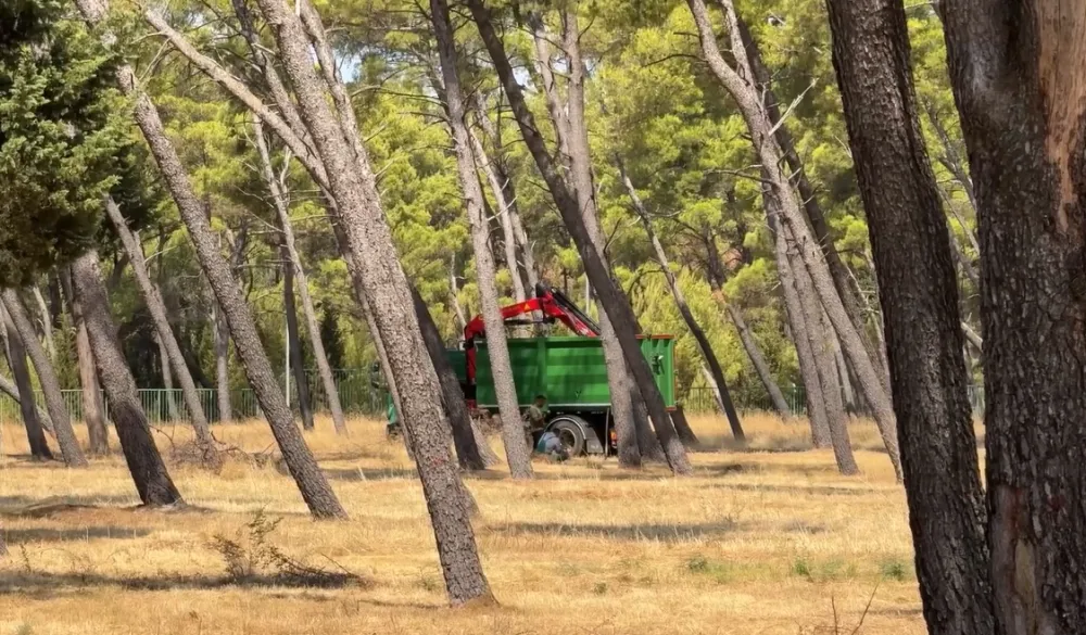 (VIDEO) Na zahtjev MZ Zlatica uređena park &scaron;uma